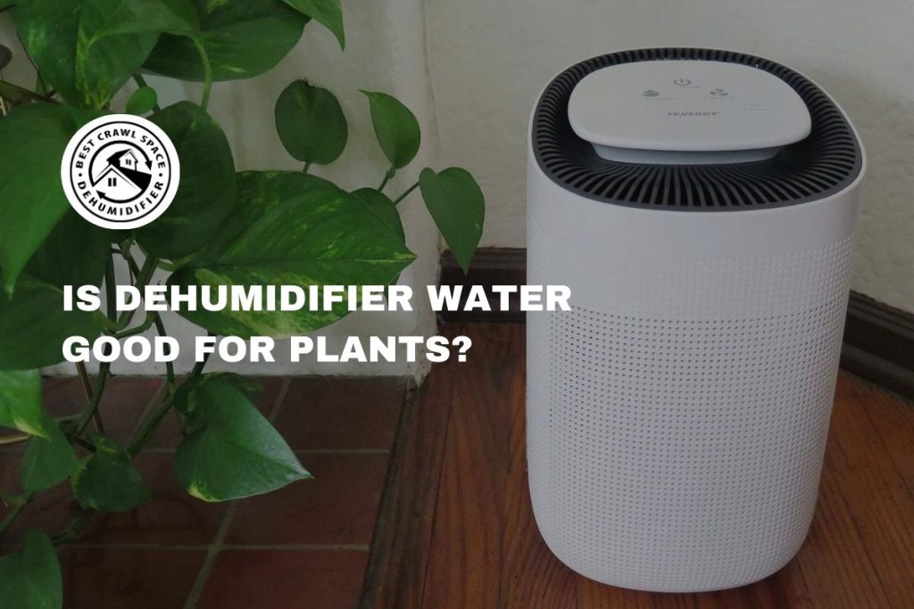 Is Dehumidifier Water Good for Plants?